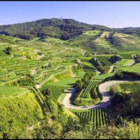 Omgeving Endingen
